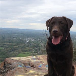 Meet your Posher, Carly